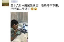 网红窦,网红窦成的崛起之路